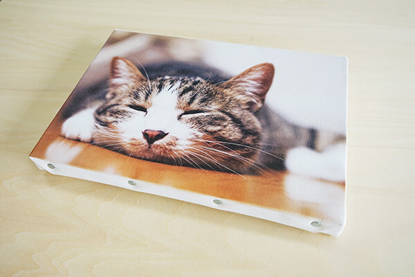 UVプリンターで猫の写真を印刷したキャンバスの画像